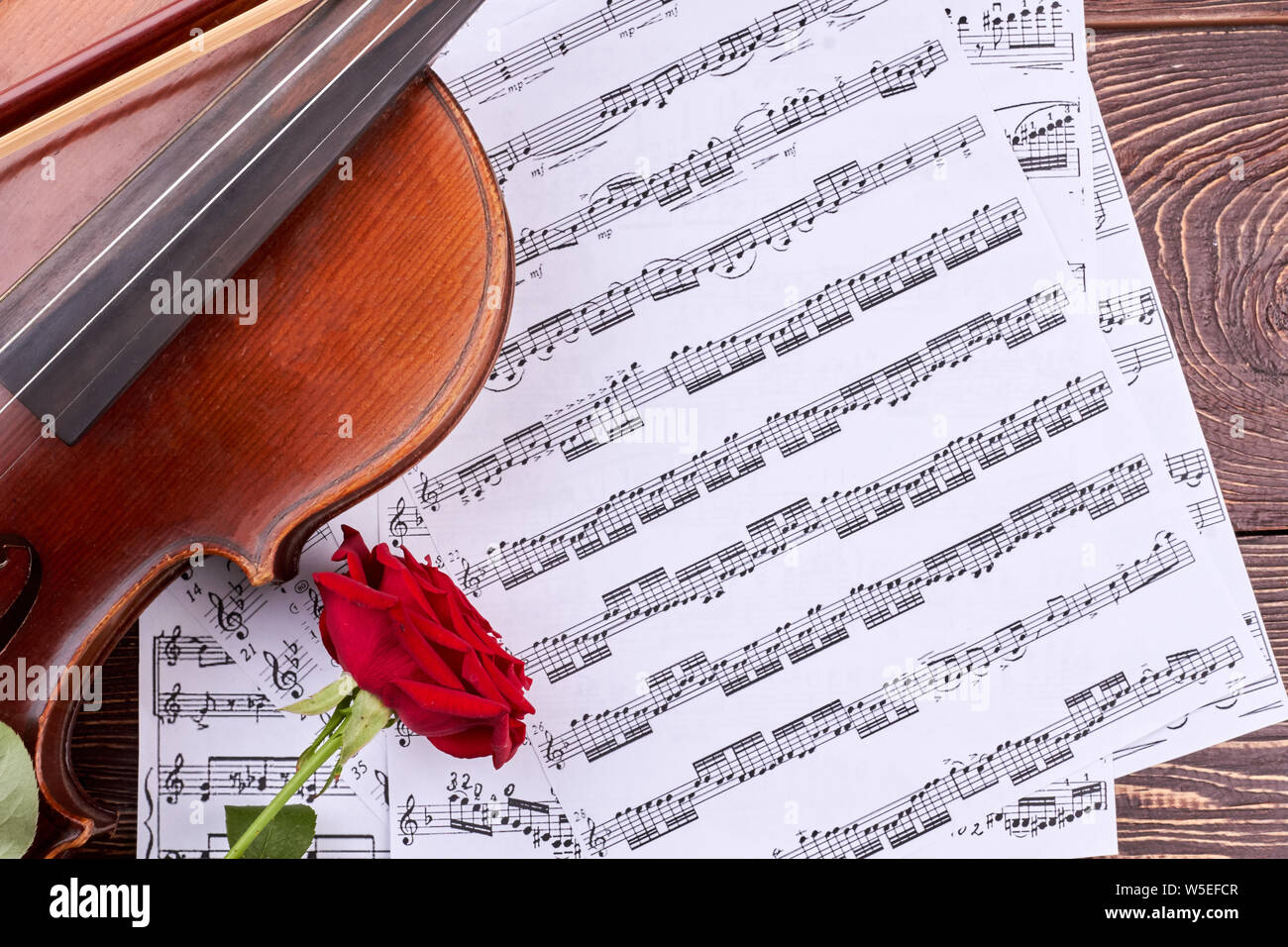 Violine, Rose und Noten. Stockfoto