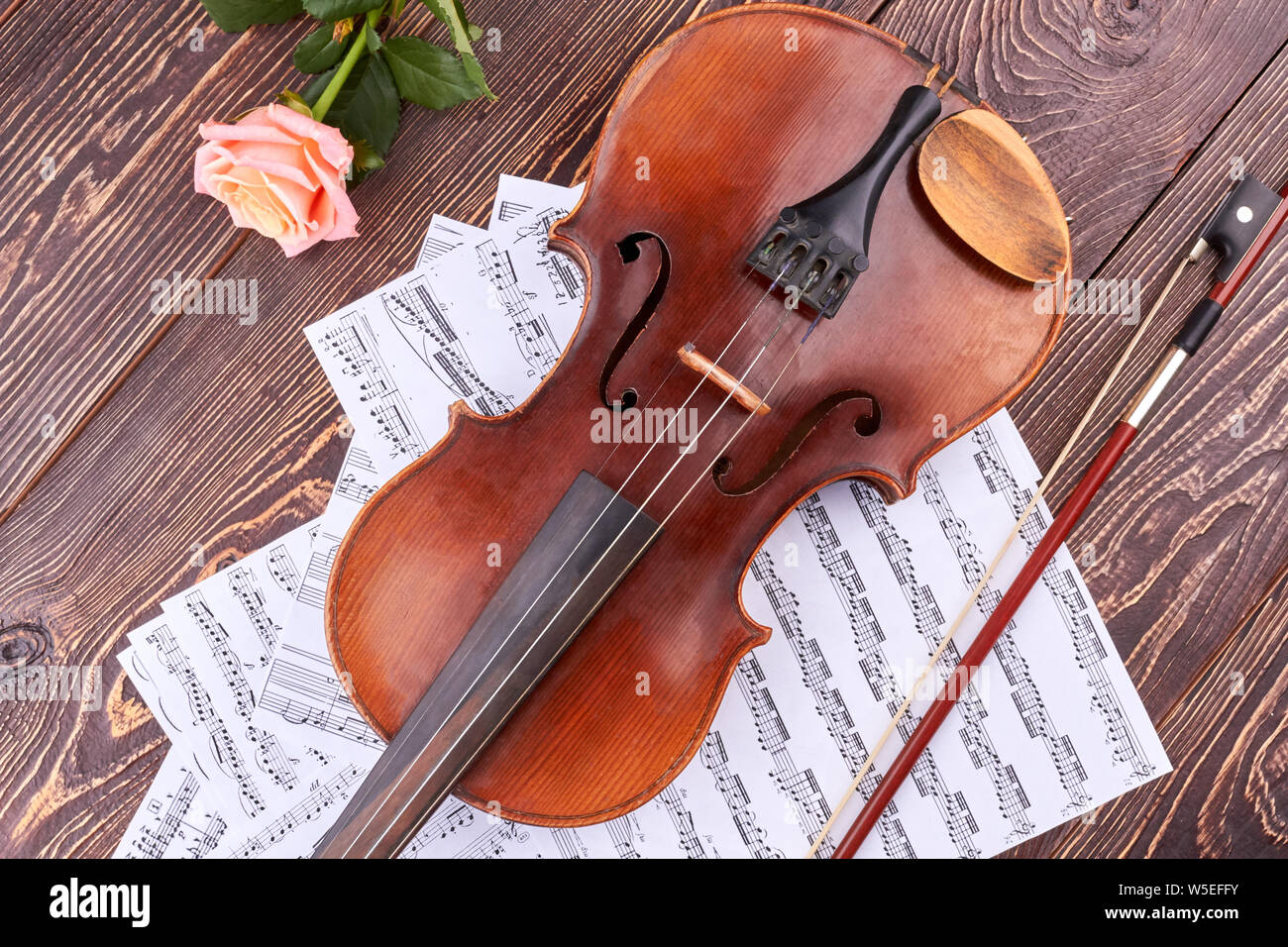 Violine, Bogen, Noten und Rose. Stockfoto