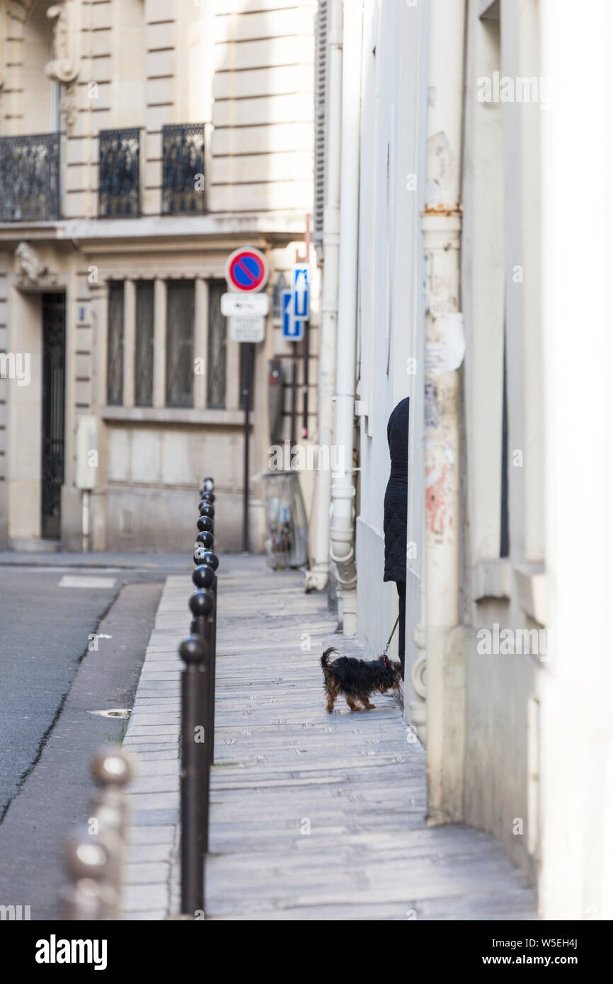Person verschwindet in der Tür mit Hund an der Leine, Paris, Frankreich Stockfoto