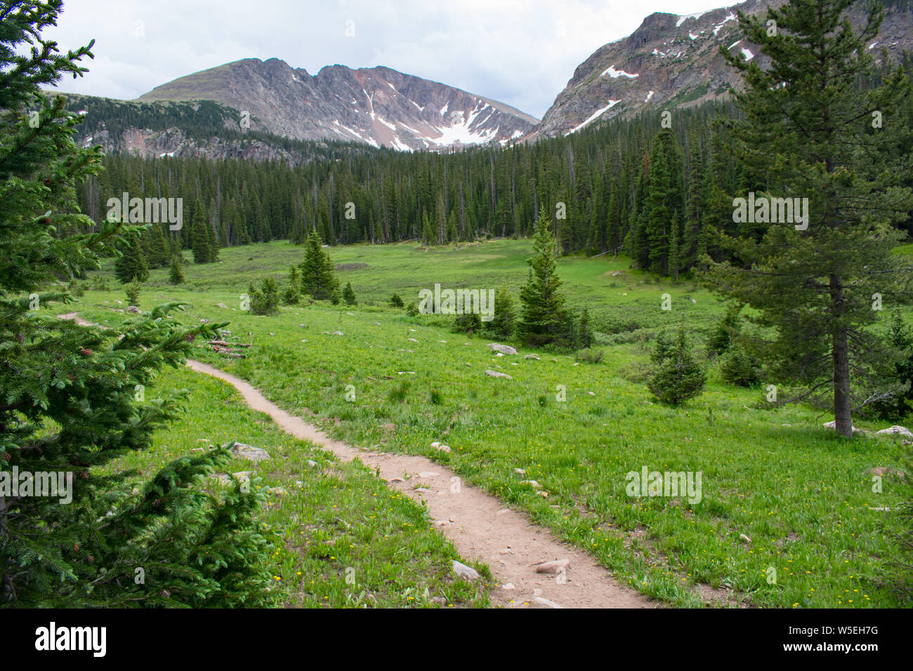 Rock Mountain National Park Trail Stockfoto