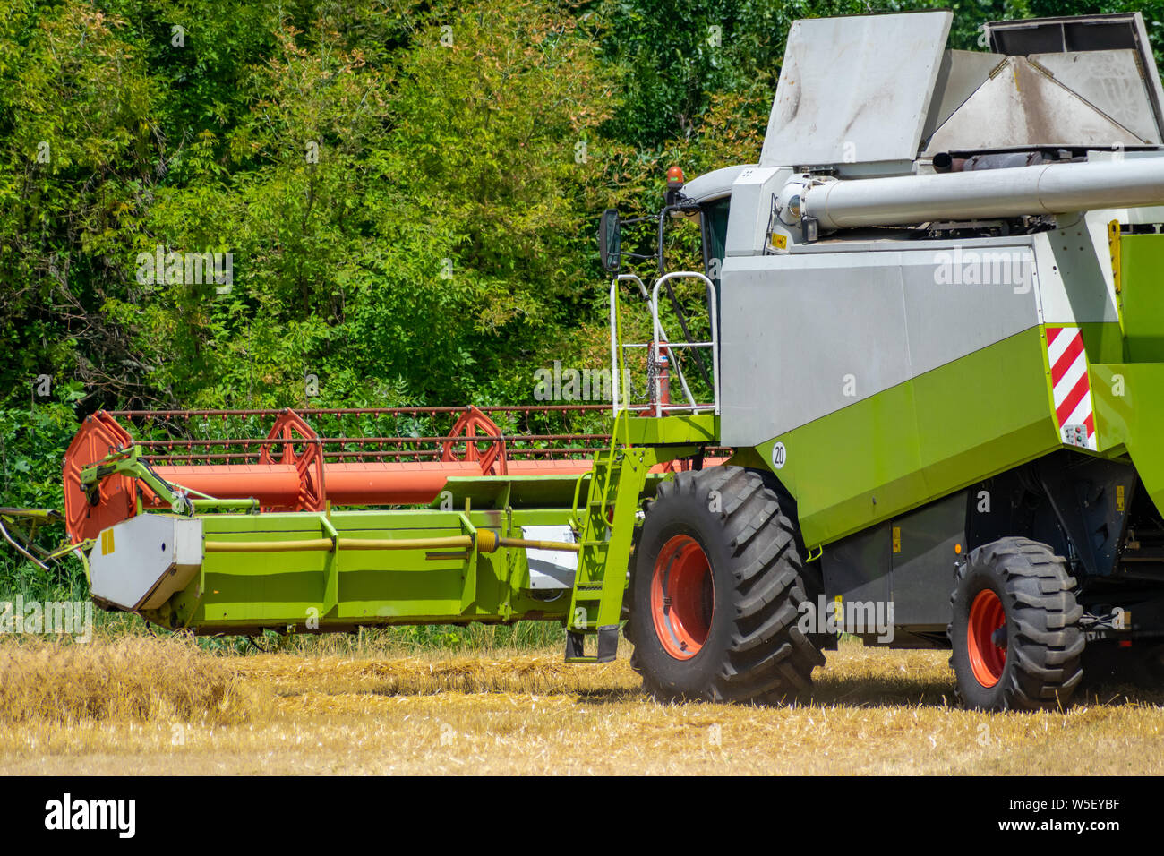 Mähdrescher bei der Arbeit auf dem Feld ernten reifen Weizen Stockfoto