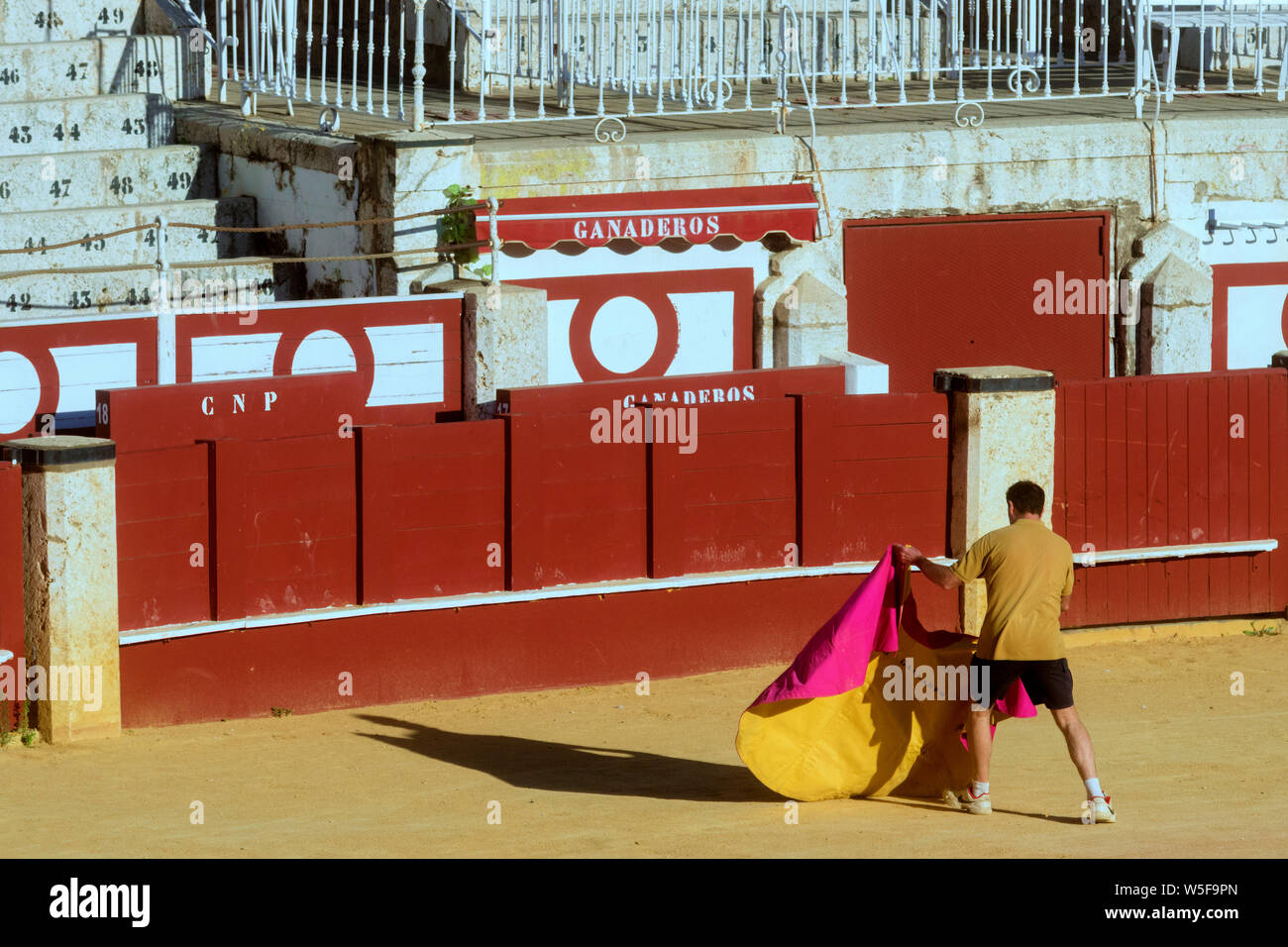 Ausbildung der Stierkämpfer Lehrlinge in der Stierkampfarena Plaza de Toros de La Malagueta in Malaga, Andalusien, Spanien Stockfoto