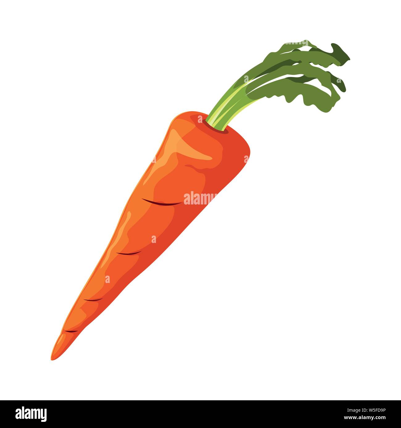 Frisches Gemüse Karotte auf weißem Hintergrund Vector Illustration Stock Vektor