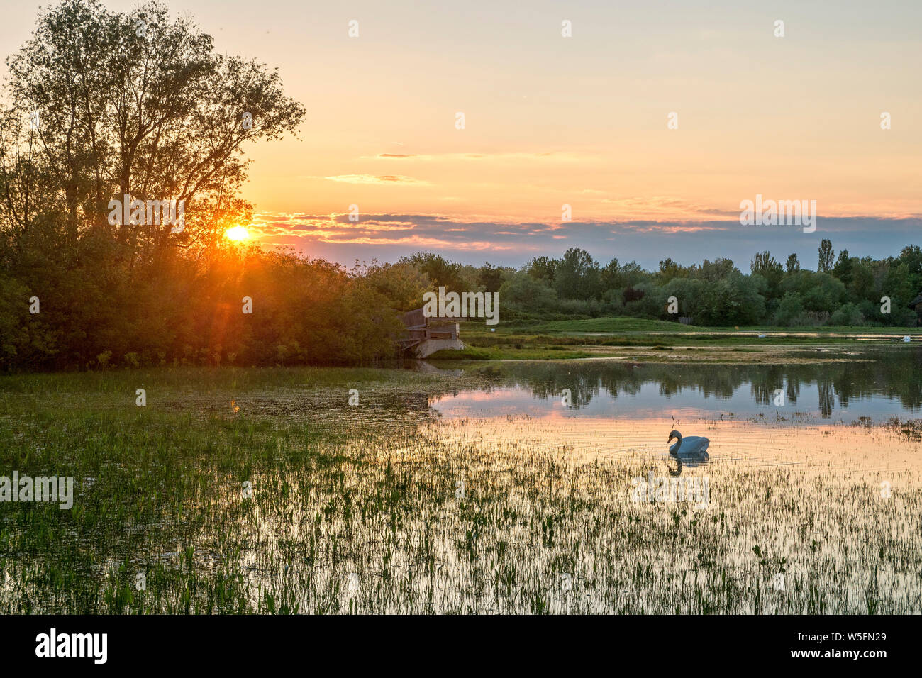 Italien, Friaul, Isonzo Estuary Regional Park, Isola della Cona Vogelschutzgebiet, Feuchtgebiet Stockfoto