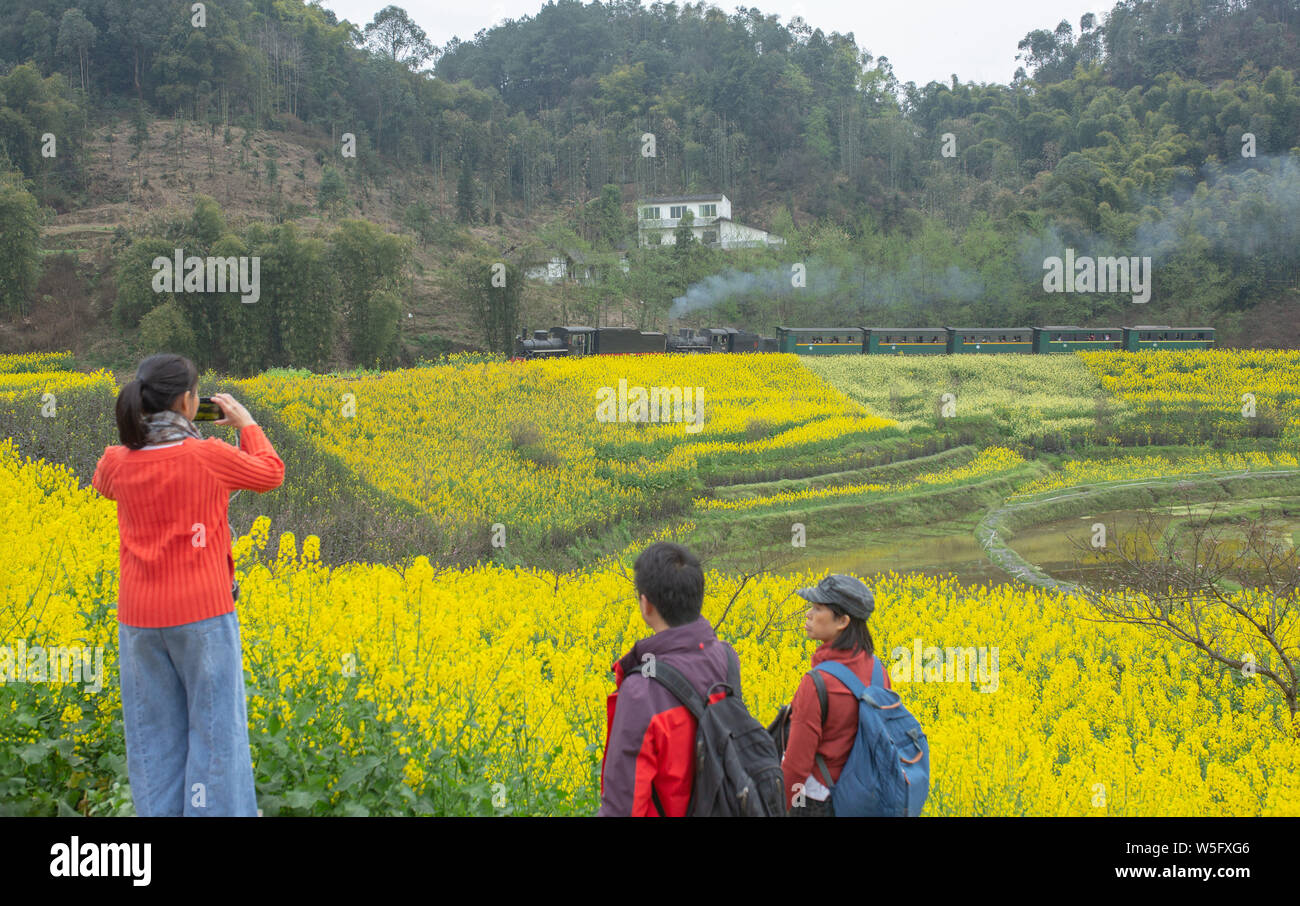 Touristen in Trachten und Sichuan Oper Kostümen stellen neben einem Zug, der durch eine Raps Feld in voller Blüte in Leshan Stadt, Stockfoto