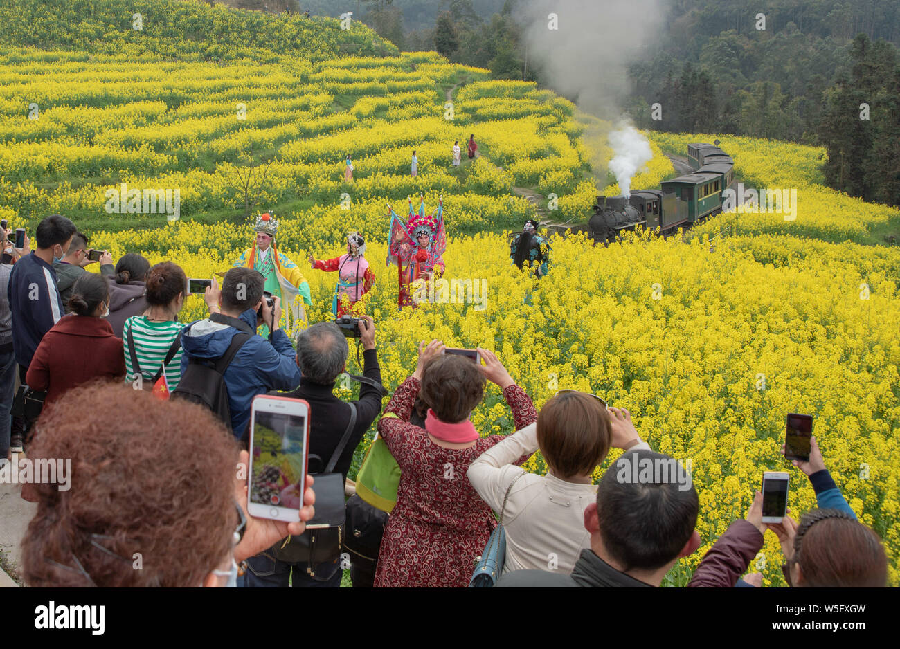 Touristen nehmen Fotos eines Zuges durch eine Raps Feld in voller Blüte in Leshan Stadt, im Südwesten Chinas Provinz Sichuan, 12. März 2019. Stockfoto
