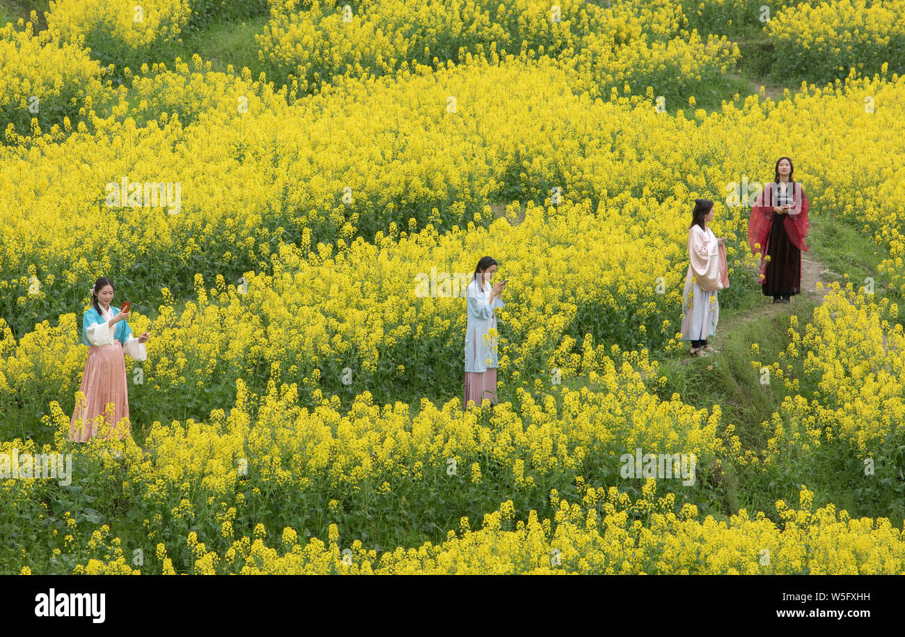 Touristen in Trachten und Sichuan Oper Kostümen stellen neben einem Zug, der durch eine Raps Feld in voller Blüte in Leshan Stadt, Stockfoto