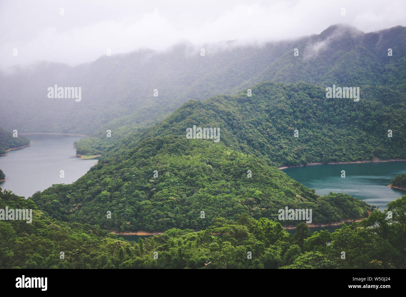 Misty Landschaft durch Tausend Island Lake in Taiwan, Asien. See im Nebel durch tropischen Wald, Regenwald umgeben. Moody Wetter. Vintage Retro, hipster Style. Stockfoto