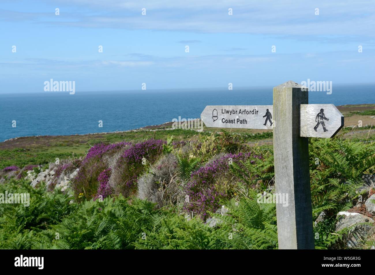 Holz- zweisprachig Englisch Walisisch Fußweg Zeichen auf St Davids Kopf Pembrokeshire Coast National Park Wales Cymru GROSSBRITANNIEN Stockfoto