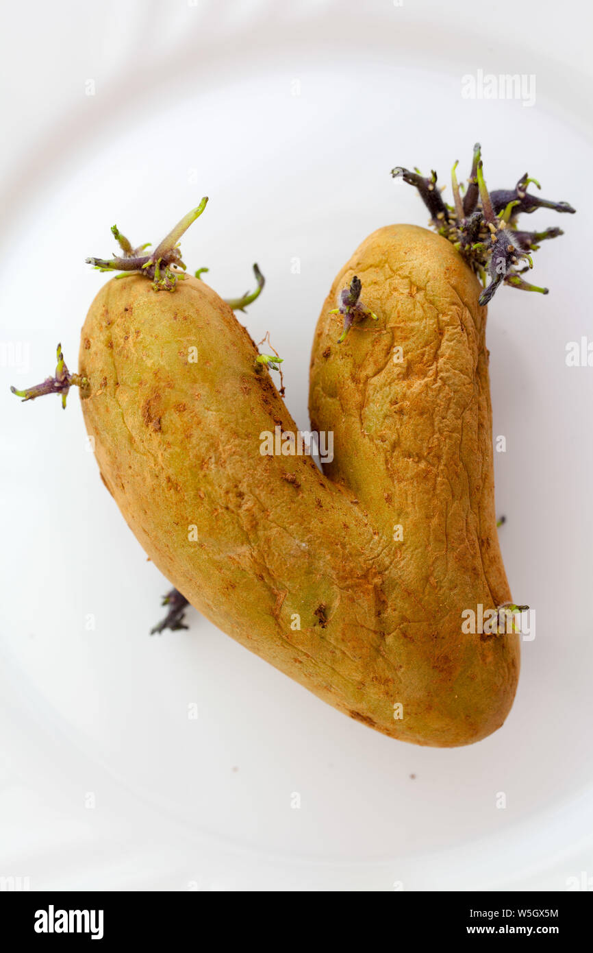 Organische Herzförmige Kartoffel auf einem weißen Teller auf einem natürlichen gewebter Teppich. Liebe dein Essen. Happy Valentine's Day! Stockfoto