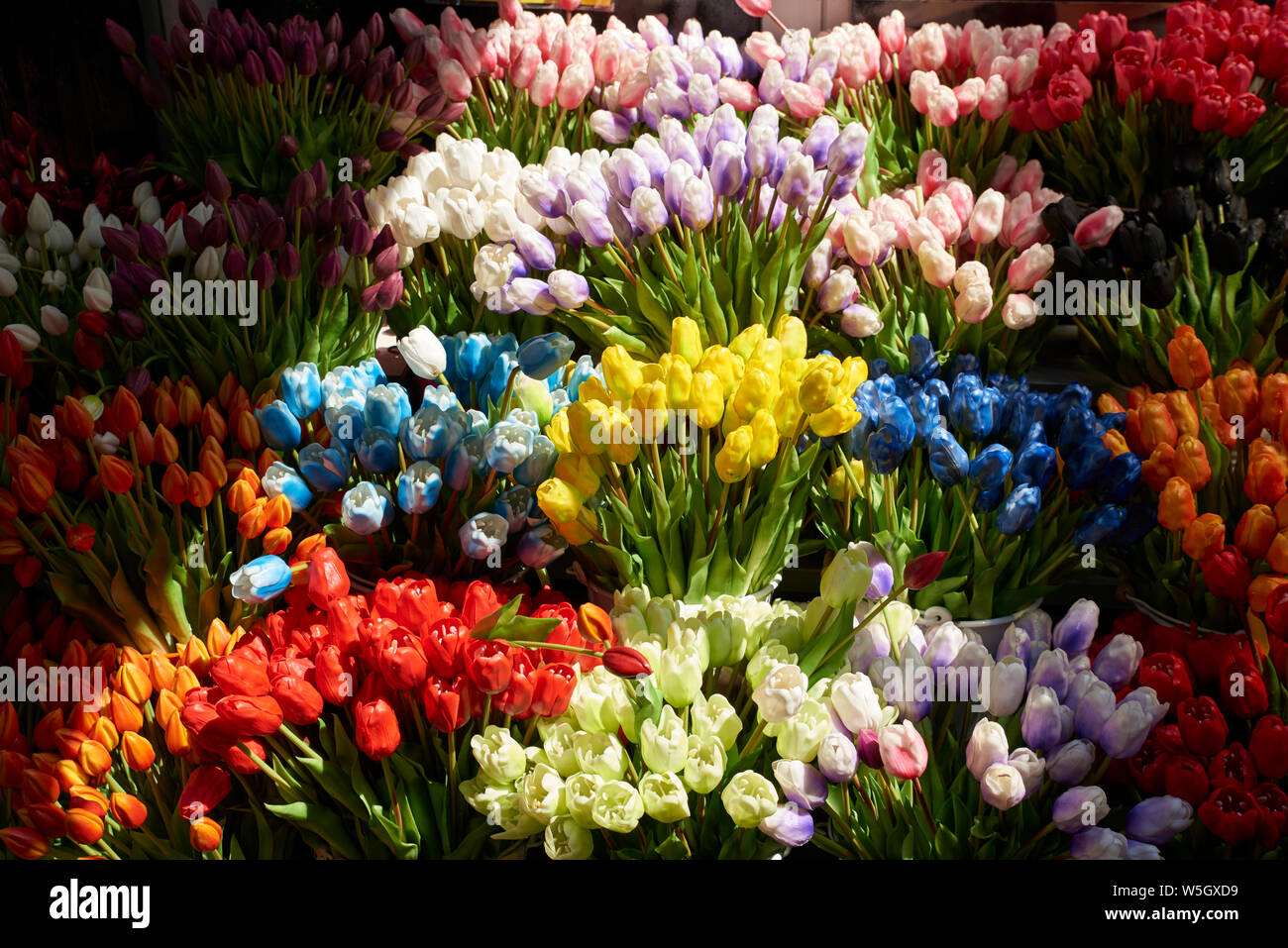 Nahaufnahme der Tulpen auf dem Blumenmarkt. Stockfoto