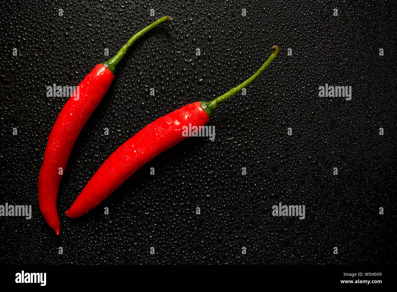Frische organische roter Chili auf schwarzen Hintergrund mit Wassertropfen erzeugen Textur-food Konzept Bild mit Kopie Platz für Text. Stockfoto