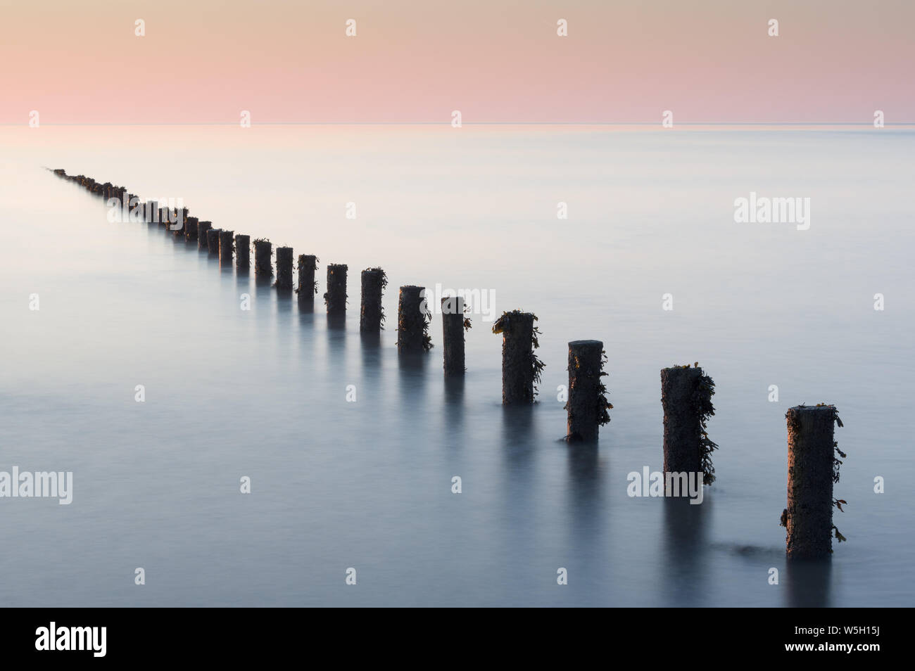 Buhnen, Brean Strand, Somerset, England, Vereinigtes Königreich, Europa Stockfoto