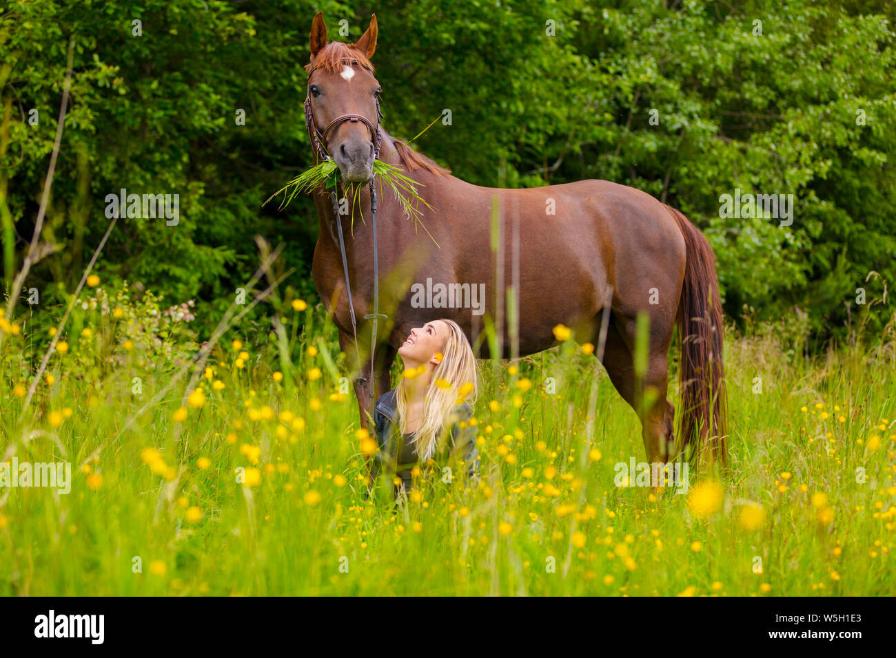 Lächelnde Frau sitzen in der Wiese und mit Ihrem arabischen Pferd kommunizieren Stockfoto