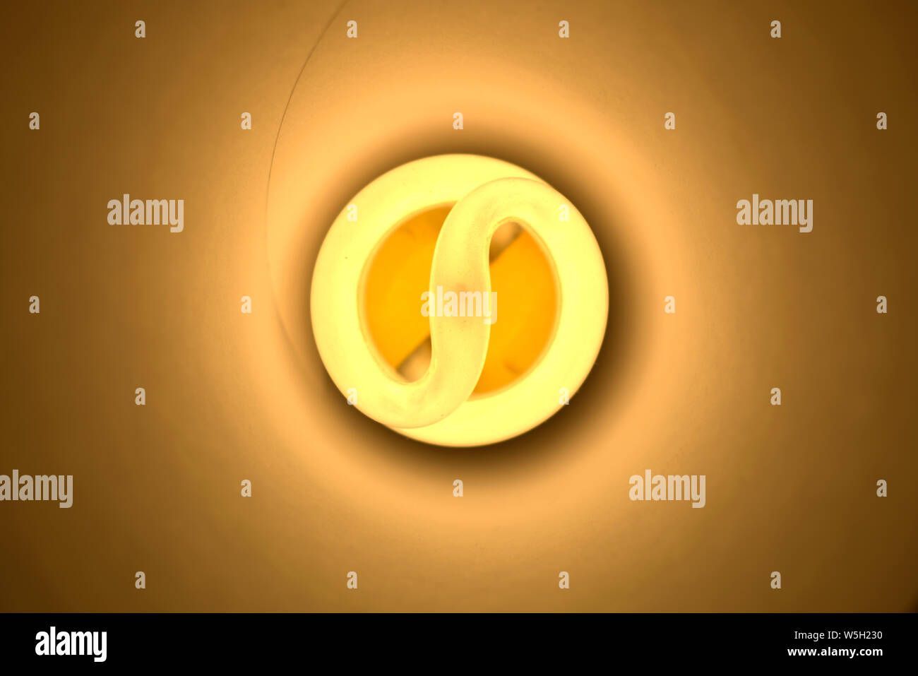 Warmes Licht energiesparenden CFL, Nahaufnahme Stockfoto