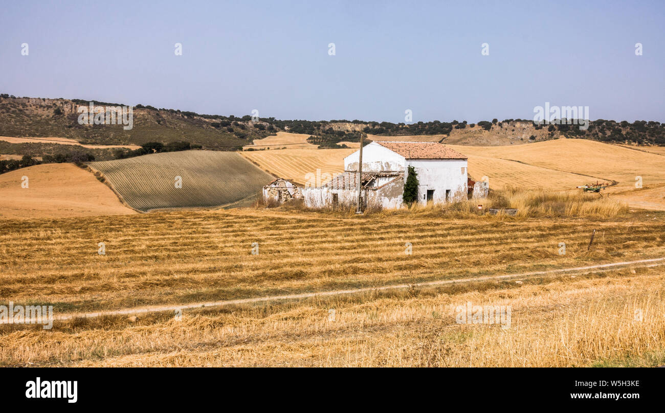 Trockene Landschaft mit weißen Bauernhaus in der Nähe von der spanischen Stadt Ronda, Andalusien, Spanien. Stockfoto