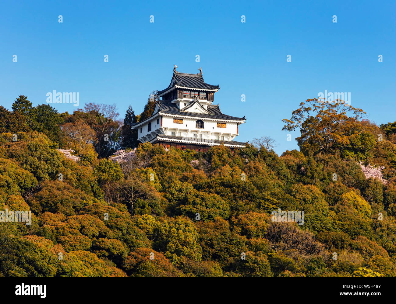Burg Iwakuni, Iwakuni, Präfektur Yamaguchi, Honshu, Japan, Asien Stockfoto