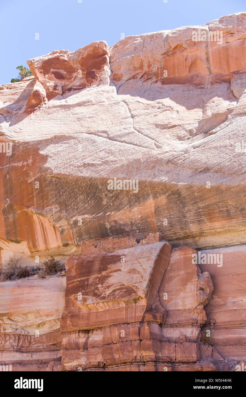 Sockel Ruinen, Ancestral Pueblito, Bären Ohren National Monument, Utah, Vereinigte Staaten von Amerika, Nordamerika Stockfoto