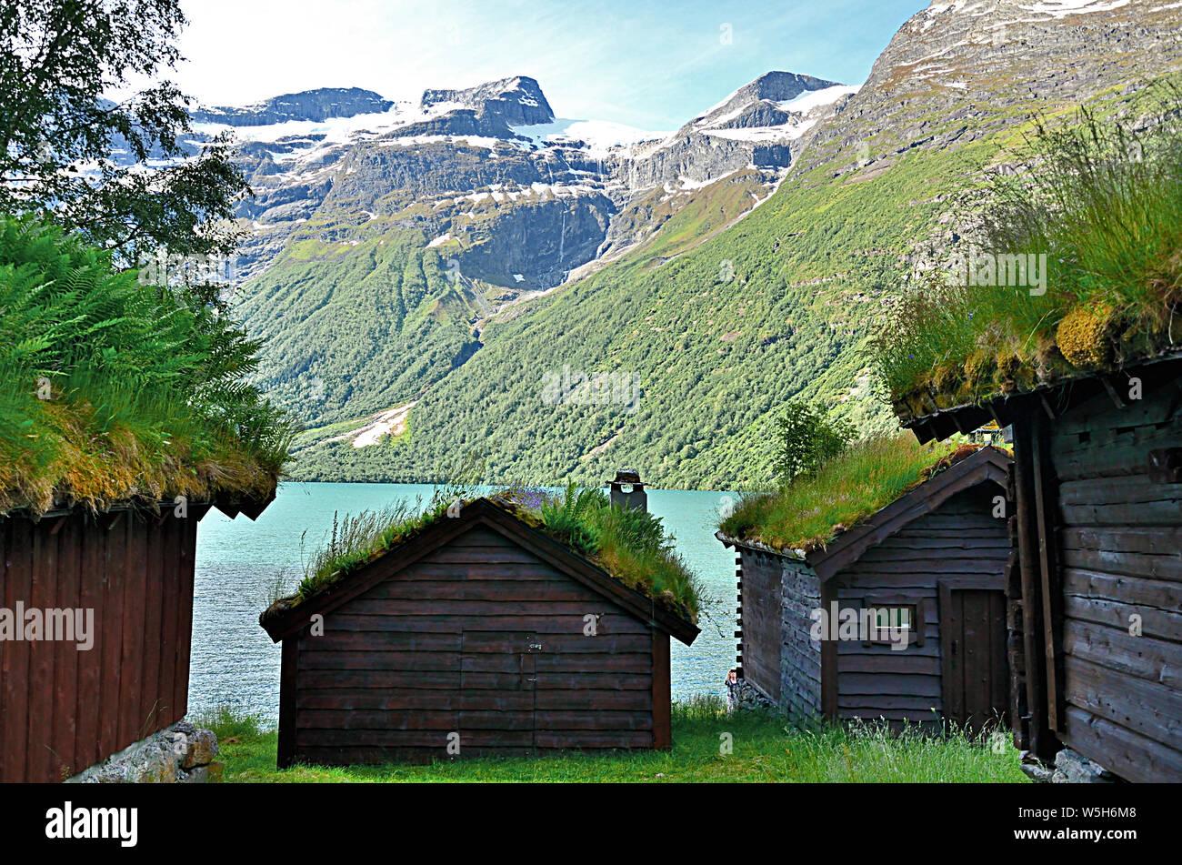 Norwegische Hütten mit Gras auf den Dächern Stockfoto