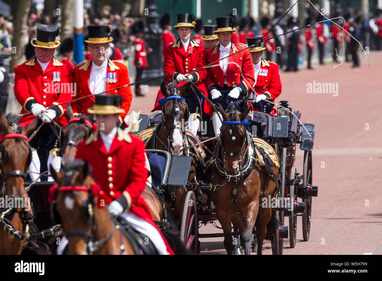 Die Farbe, Geburtstag Parade feiern der Königin außerhalb des Buckingham Palace, London, England, Vereinigtes Königreich Stockfoto