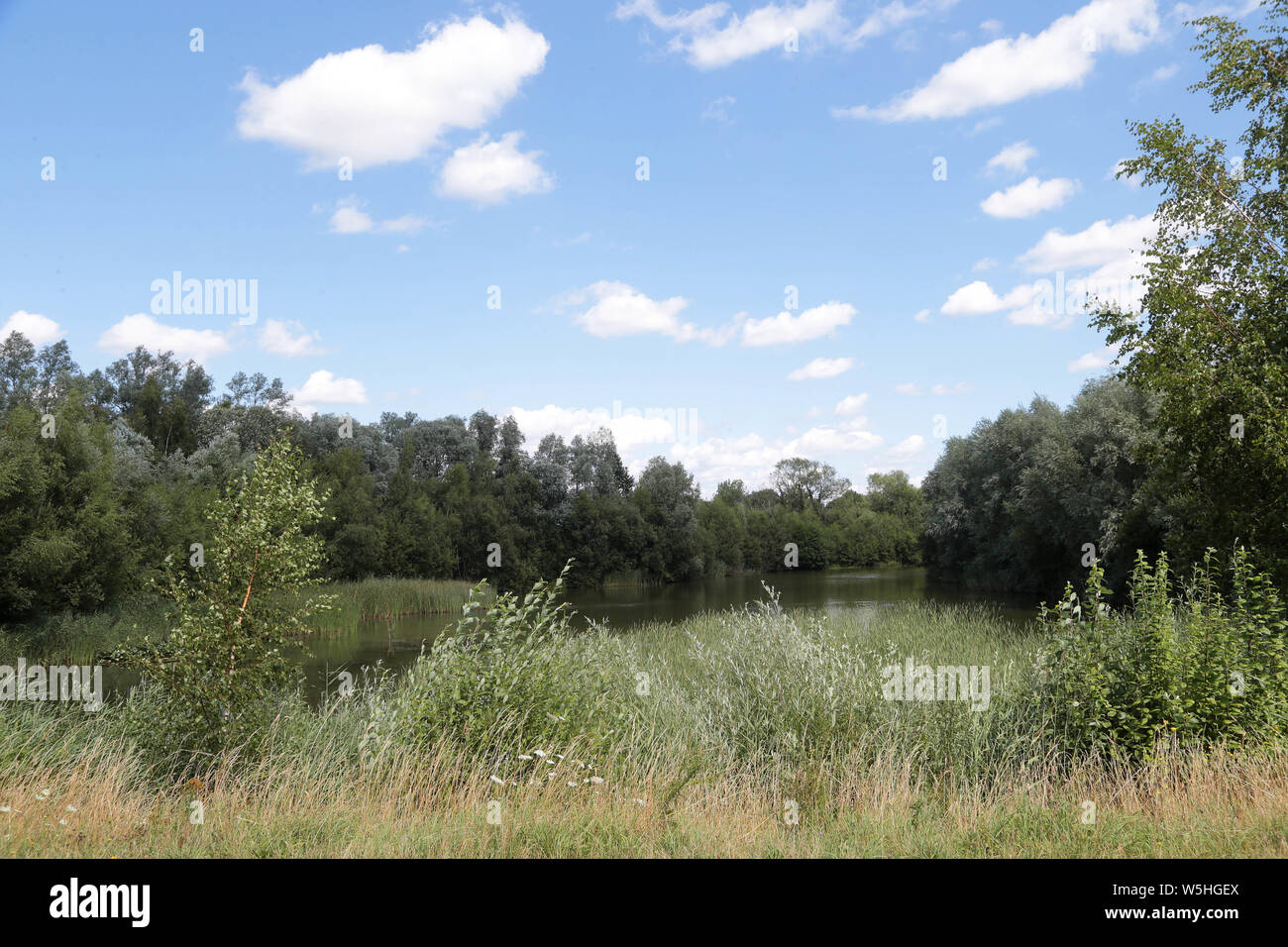 Leybourne Seen Country Park Larkfield Kent Stockfoto
