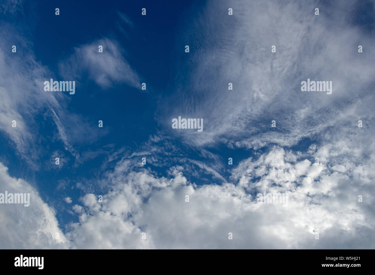 Blauer Himmel mit weißen Wolken nach dem Regen. Stockfoto
