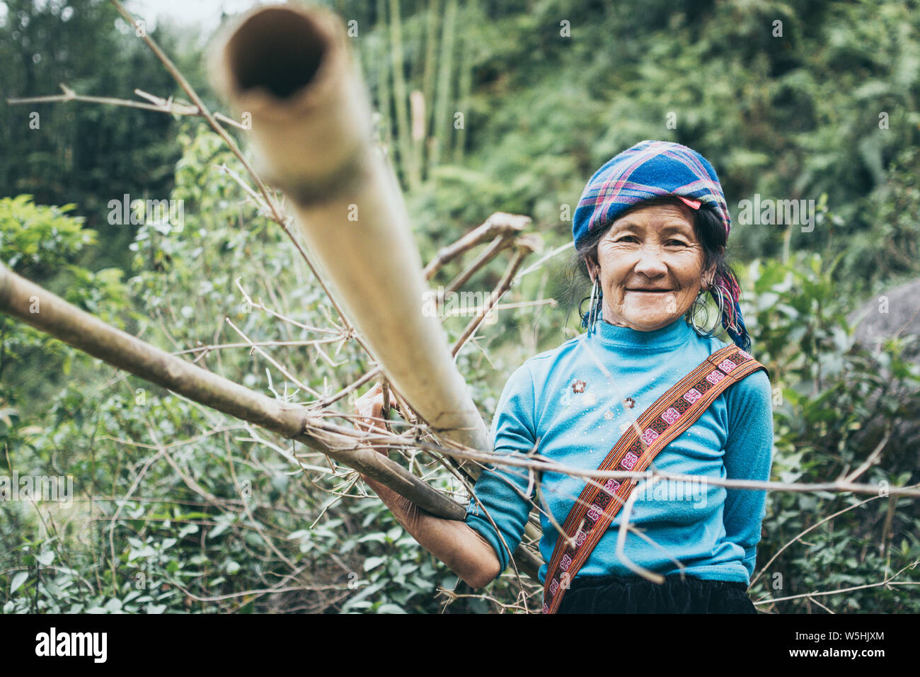 Sapa, Vietnam - Mai 2019: alte Frau aus der ethnischen Gruppe der Hmong in traditioneller Kleidung trägt Holz in Lao Cai Provinz. Stockfoto