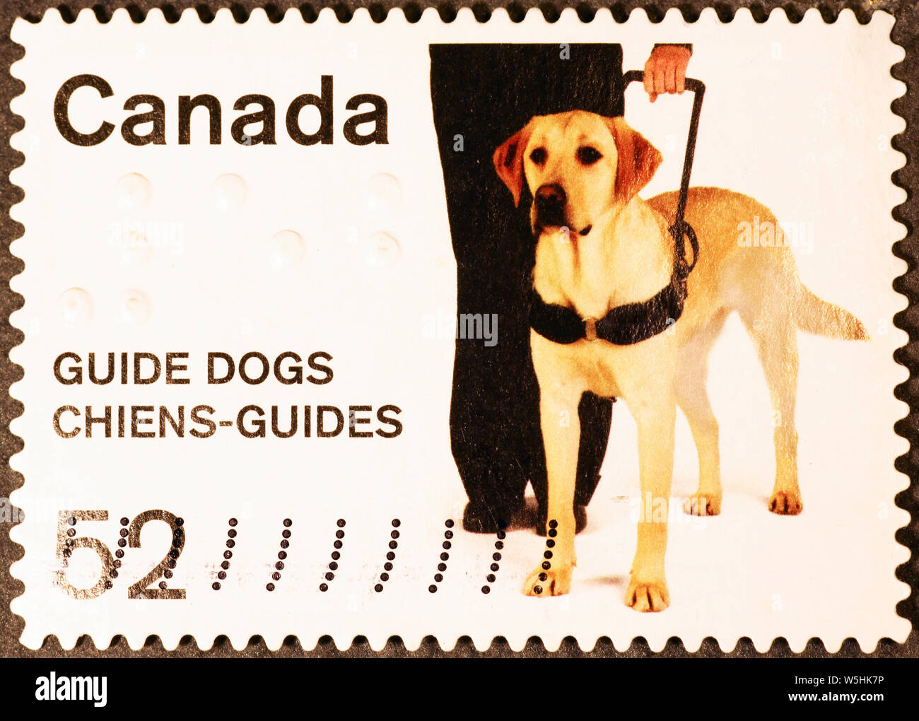 Blindenhund auf kanadischer Briefmarke Stockfoto