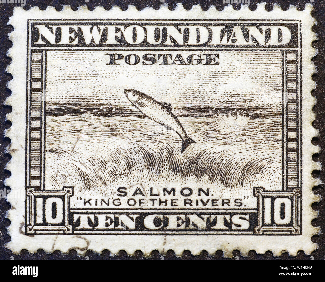 Lachs auf vintage Briefmarke von Neufundland Stockfoto
