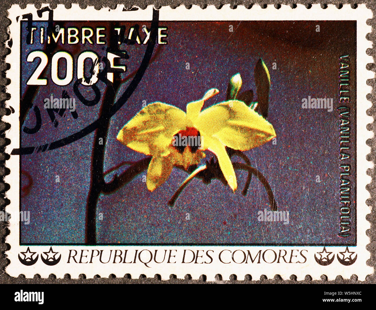 Vanilla flower auf Briefmarke der Komoren Stockfoto
