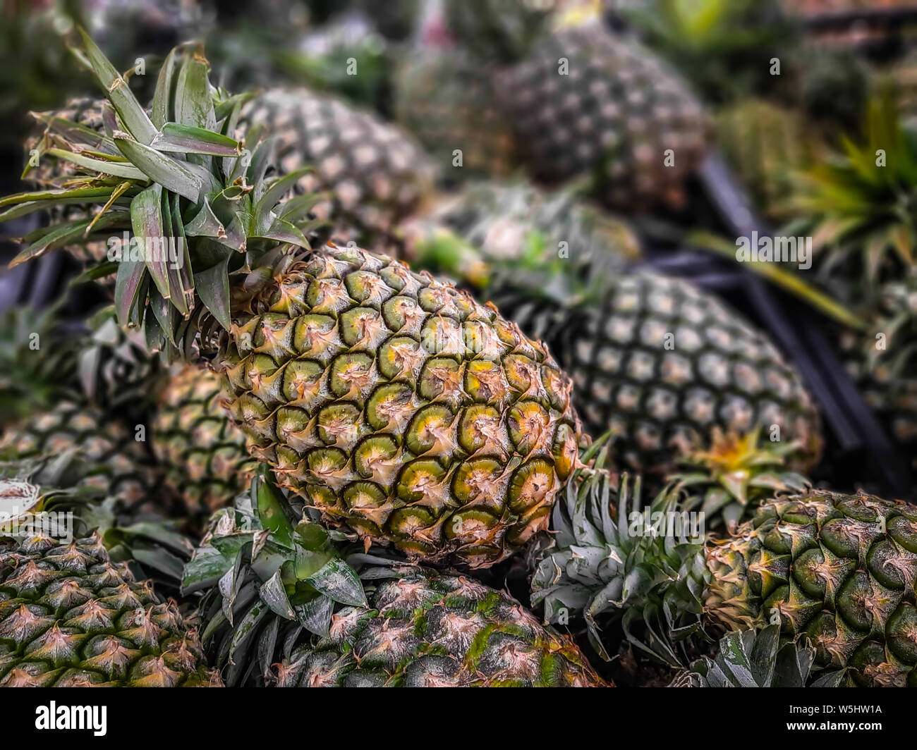 Eine Menge Ananas Obst Hintergrund, tropische Früchte zum Verkauf Stockfoto