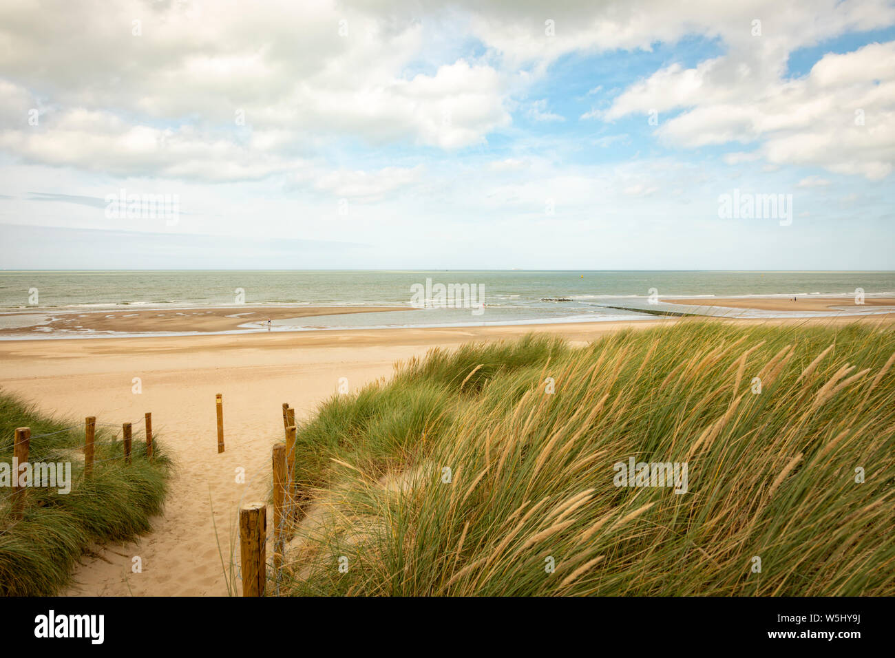 Strand von Wenduine, De Haan, Belgien, Dünen im Vordergrund Stockfoto