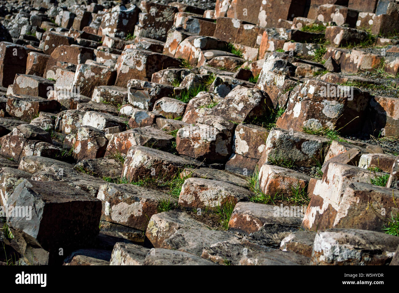 Giant's Causeway in Land Antrim, Nordirland Stockfoto
