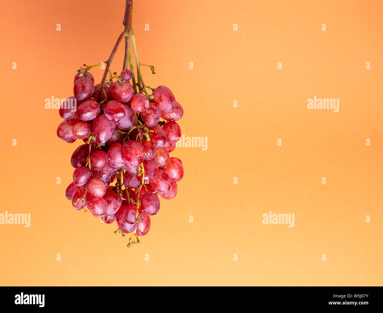 Natürliche organische Rosa saftige Trauben auf einen Trend orange Hintergrund der Vorderansicht. Im rustikalen Stil. Dorf Landwirtschaft Konzepte. Stockfoto