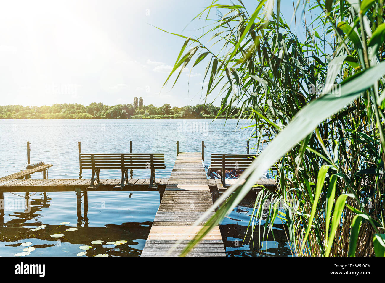 Idyllischer Blick auf die Havel in Berlin mit Pier und Schilf am Ufer unter blauem Himmel Stockfoto