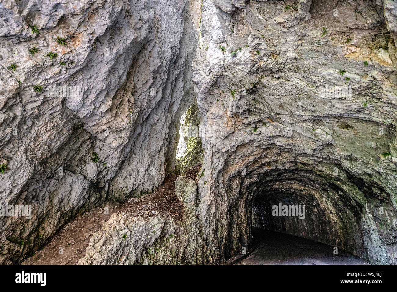 Italien Friaul - natürliche Reserve der Forra Torrent Cellina Stockfoto