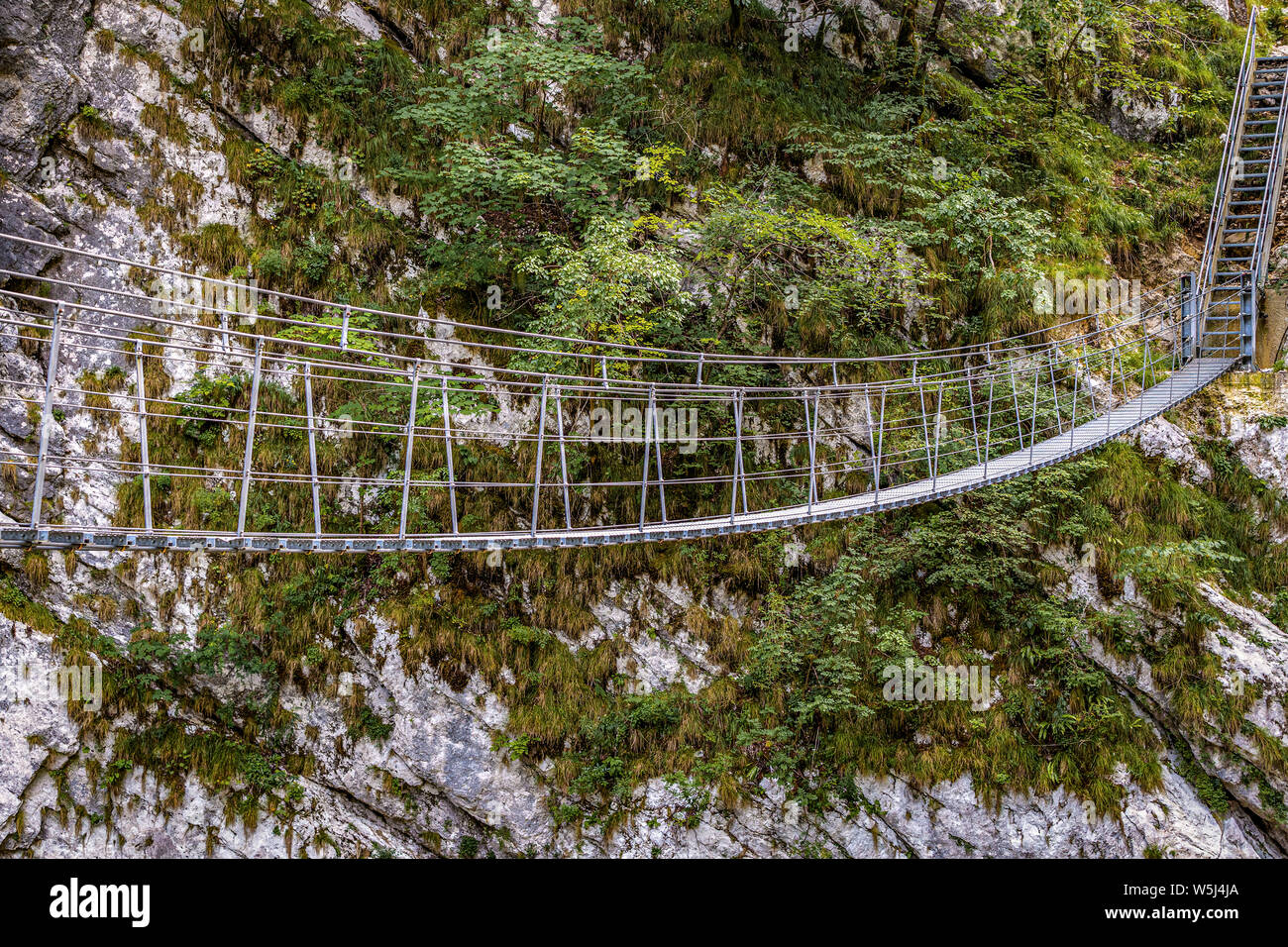 Italien Friaul Barcis Alte Straße von Val Cellina - Himalaya Brücke - Naturpark des Dolomiti Friulane Stockfoto