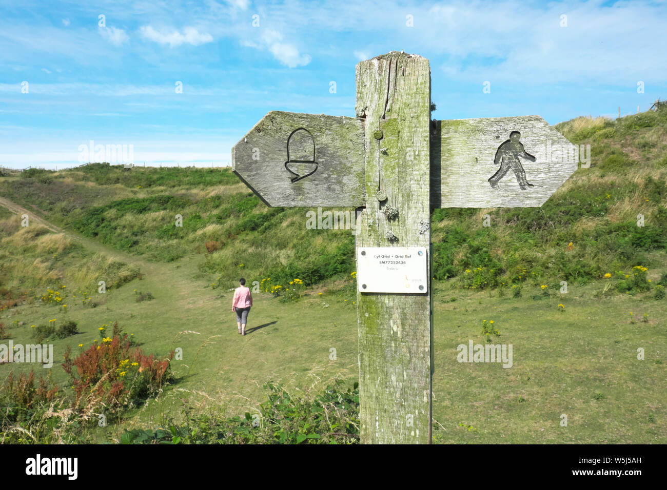 Ein Wanderer auf der Pembrokeshire Coast Path führt ein Wegweiser für den Küstenweg zwischen Solva und St David's im Sommer Juli 2019 Stockfoto