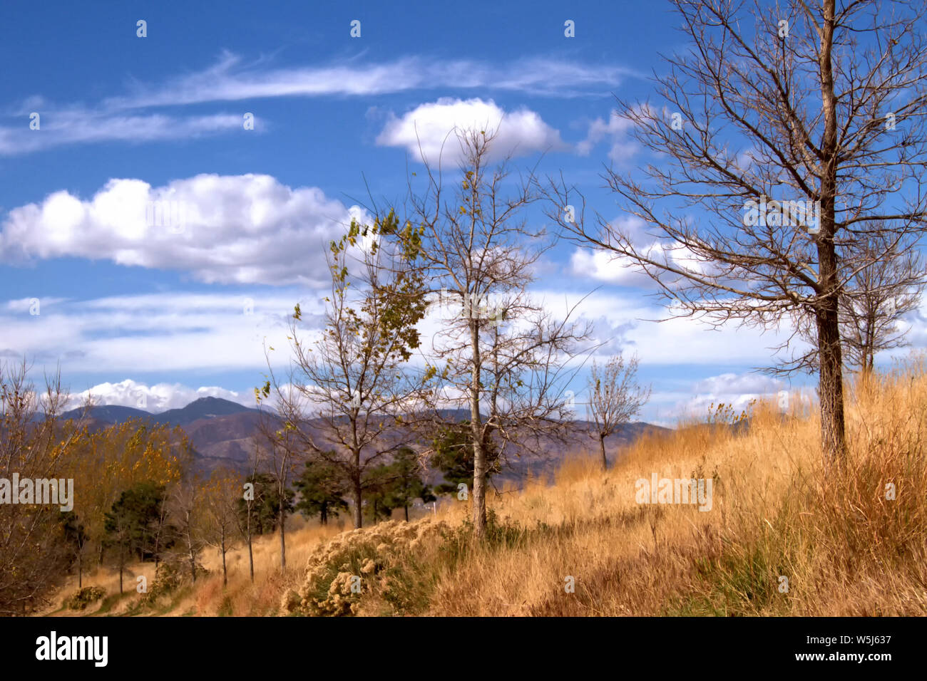 Ein Blick auf die Rocky Mountains außerhalb von Denver von Highlands Ranch im Herbst. Stockfoto