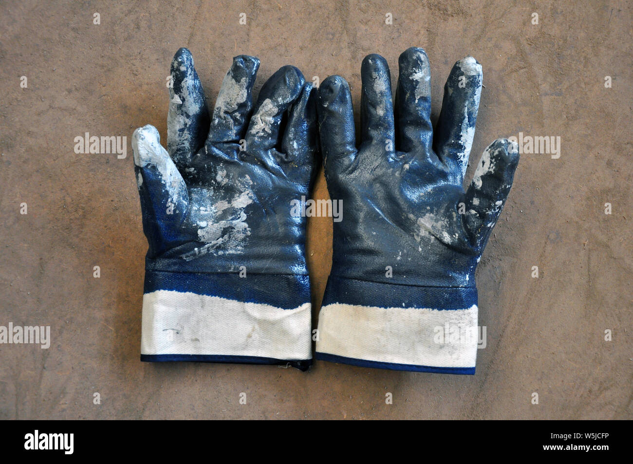 Blau Schutzhandschuhe sind mit Farbe gefärbt. Persönlicher Schutz Stockfoto