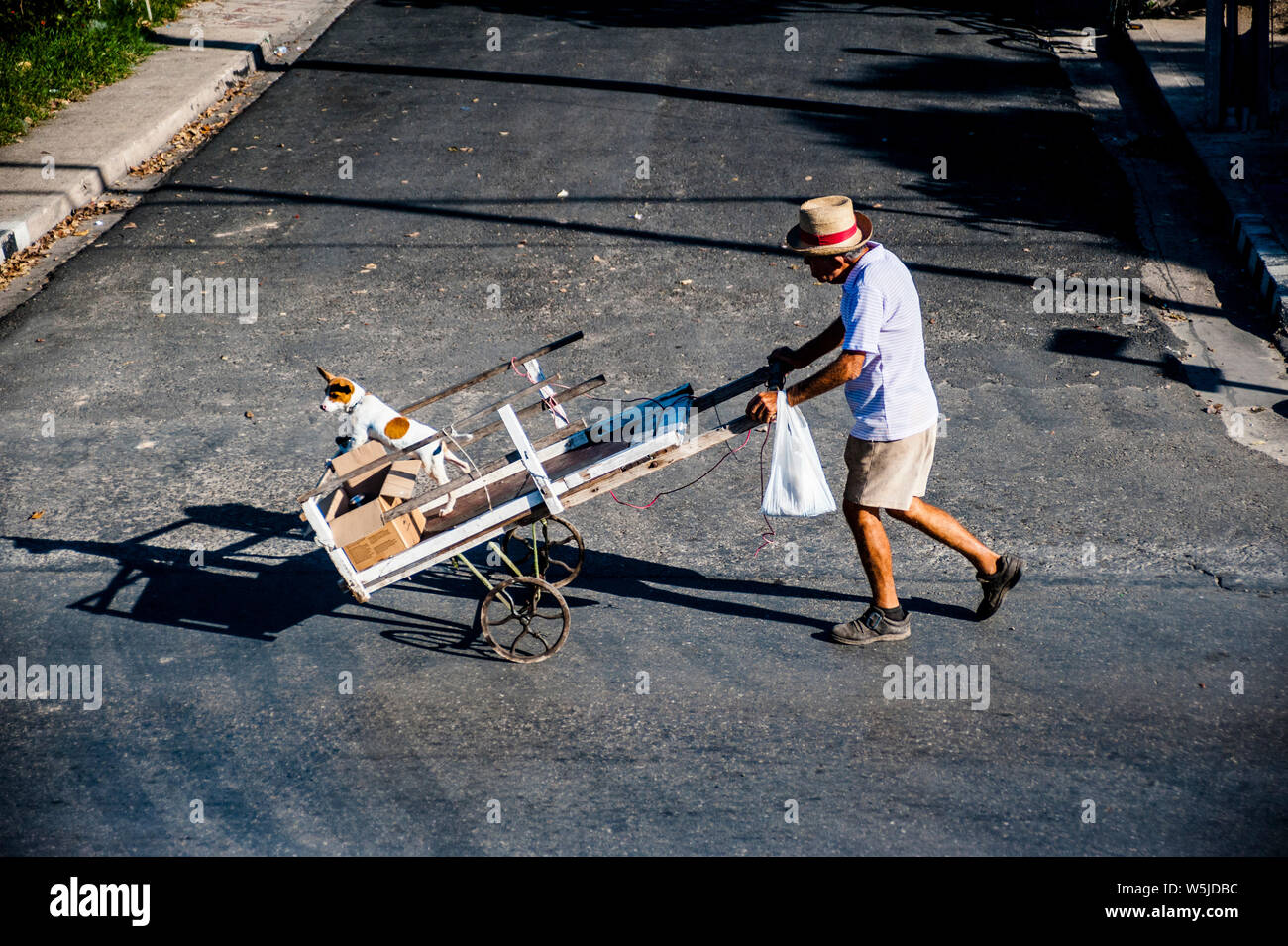 Man schiebt seinen Hund in einen Warenkorb entlang der Straße wie der Hund scheint als Wegbereiter. Stockfoto