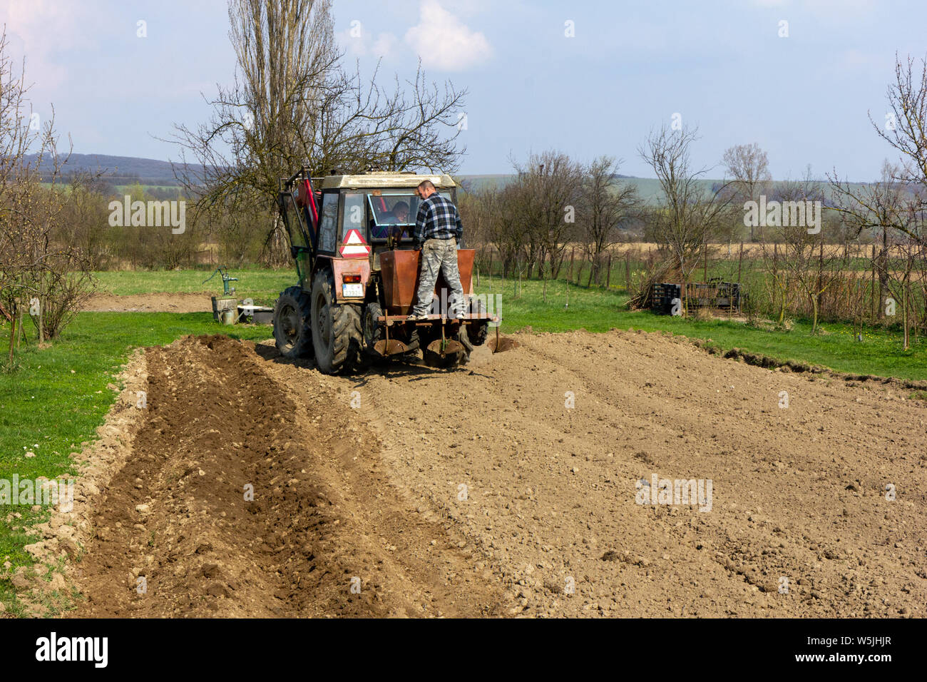 Zwei Männer Aussaat junge Kartoffeln mit Hilfe eines Traktors in ländlichen Gebieten der Slowakei. Stockfoto