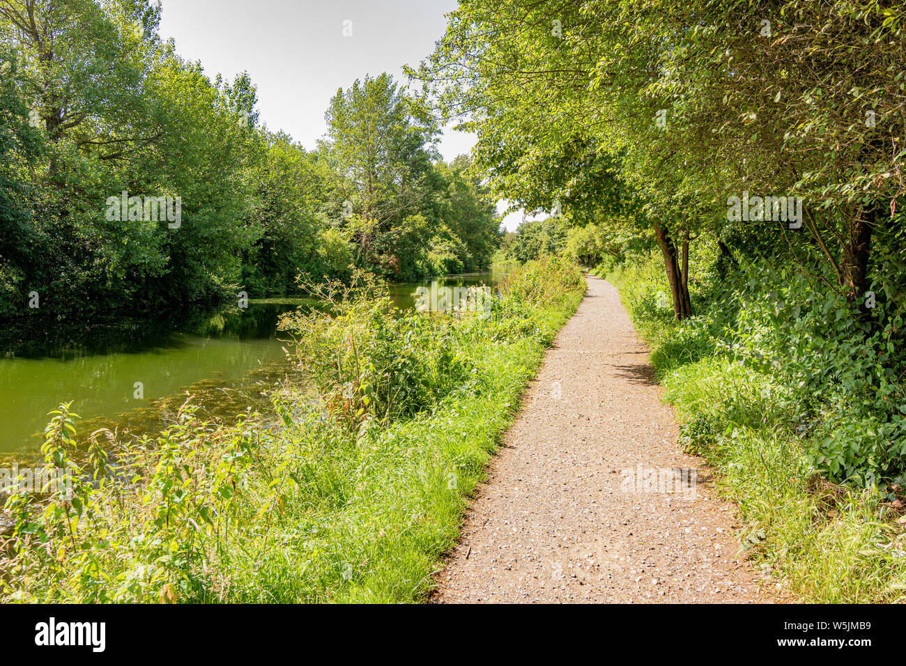 Chichester Ship Canal, Chichester, West Sussex, UK. Stockfoto