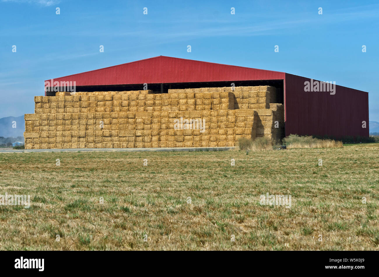Oder: Benton County, Willamette Valley, ein großes, modernes Red Barn, gefüllt mit Ballen Heu. Stockfoto