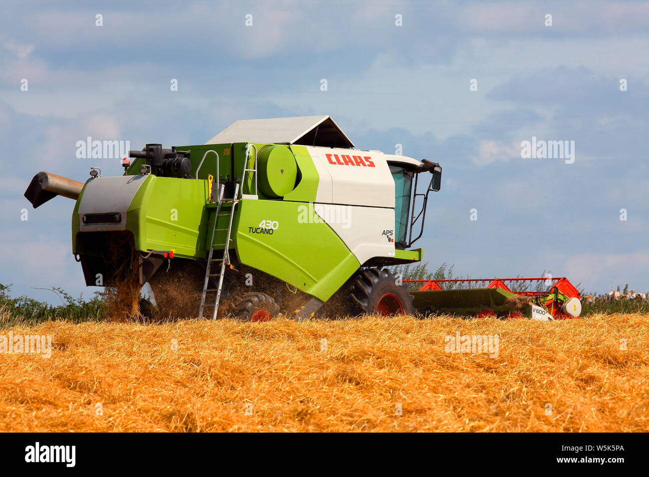 Ein Mähdrescher arbeitet es Weg um ein kleines Feld in der Landschaft das Sammeln dieser Jahre Ernte von Weizen kurz Arbeiten dieser Jahre Ernte. Stockfoto