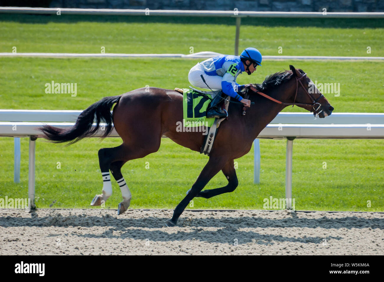 Jockey und Vollblüter Pferderennen bei Keeneland racetrack in Lexington Kentucky Stockfoto