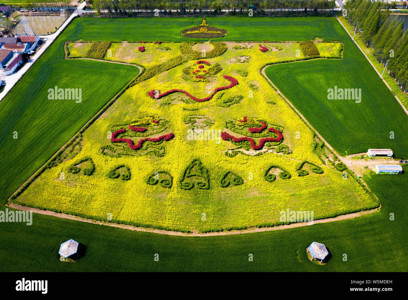 Luftaufnahme von Cole Blumen bilden ein Drache Robe in einem Feld in einem Dorf in Nanjing, Provinz Jiangsu im Osten Chinas, den 6. April 2018. Stockfoto