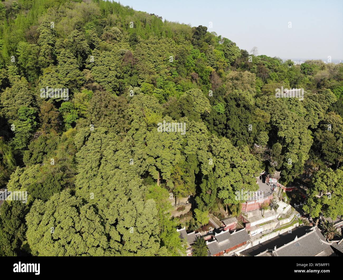 Luftaufnahme der Dujiangyan irrigation System über Min Fluss (minjiang) in Dujiangyan Stadt, im Südwesten Chinas Provinz Sichuan, 6. April 2019. Duji Stockfoto