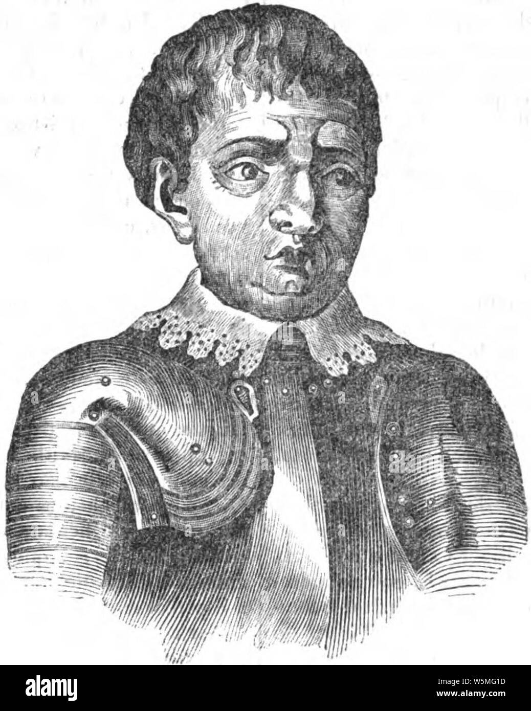 D. Pedro de Menezes, Conde de Vianna. Stockfoto