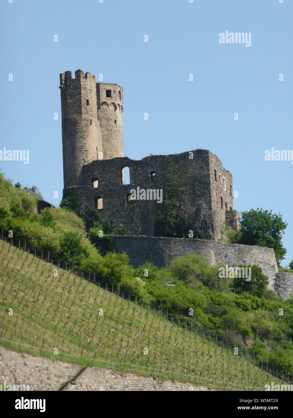 Burg Ehrenfels wie auf dem Rhein gesehen Stockfoto